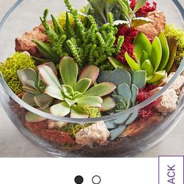 This is what I ordered This is what I ordered