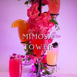 La Cosecha Mexican Bistro - Mimosa tower