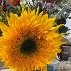 Sweetwater a Flower Market