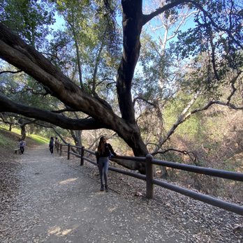 Steep Canyon Trailhead - Shades - Hiking Near Me - Diamond Bar, California