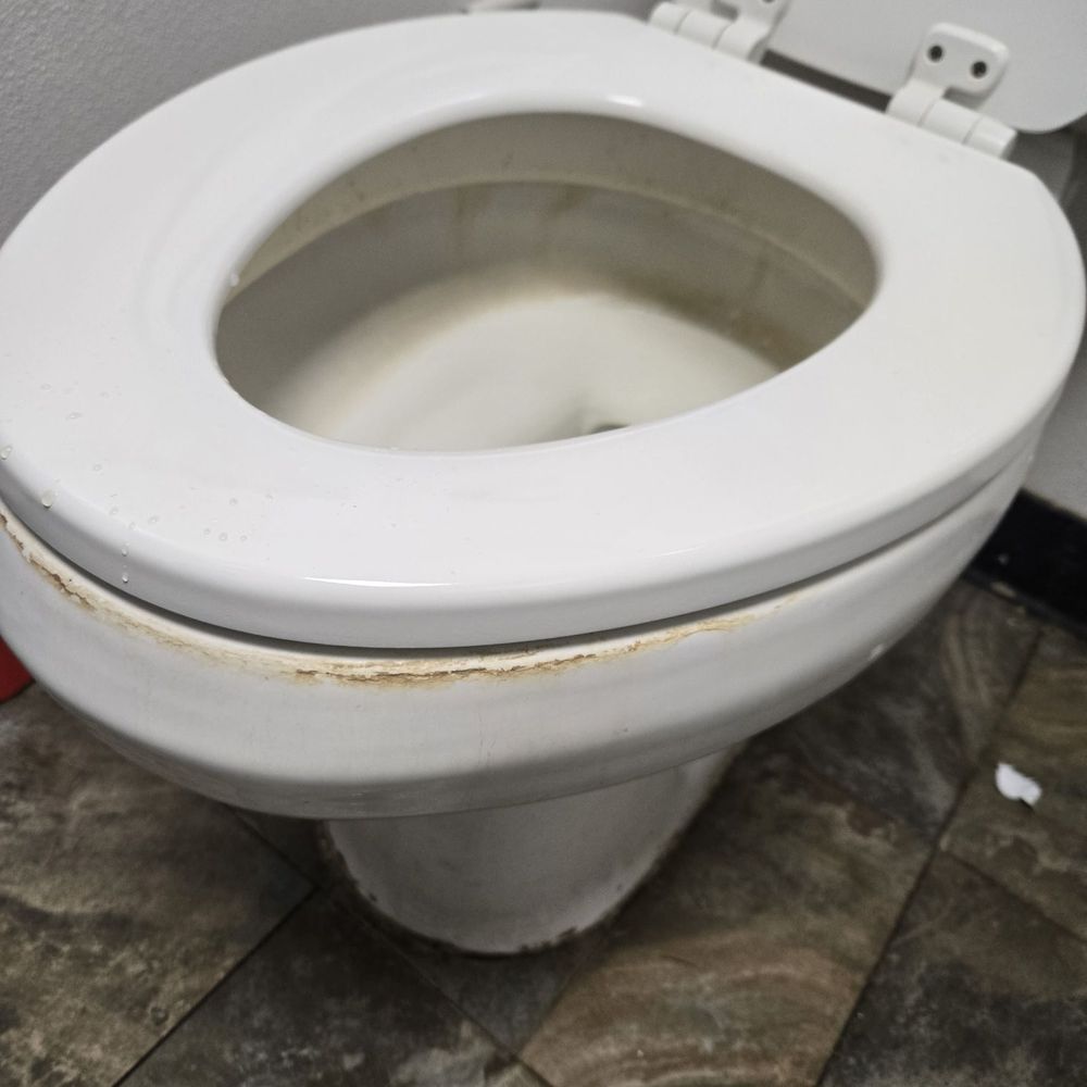 Biryani King - Indian Near Me - Pearland, Texas
