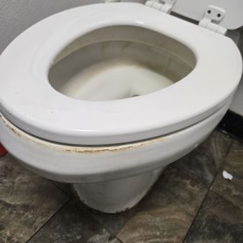 Biryani King - Indian Near Me - Pearland, Texas Biryani King - Indian Near Me - Pearland, Texas