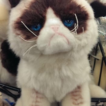 Michaels - Impulse item near the register line... ANGRY CAT plush stuffed animal - Arts & Crafts Near Me - Hawthorne, California