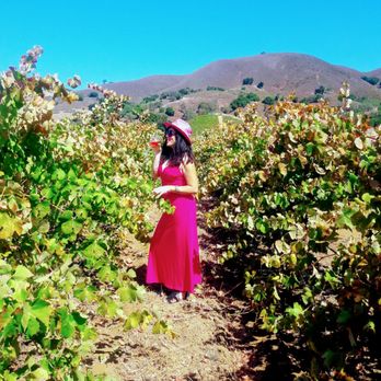 Kirigin Cellars - Wineries Near Me - Gilroy, California Kirigin Cellars - Wineries Near Me - Gilroy, California