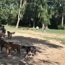 Fairmont Dog Park - Beautiful day at the dog park