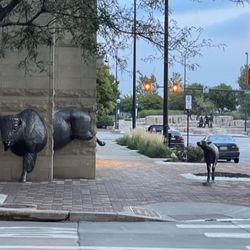 Spirit Of Nebraska's Wilderness and Pioneer Courage Park in Omaha gift card