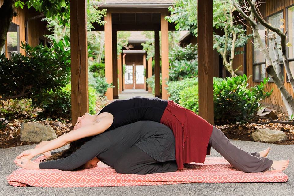 The Metta Center Logo