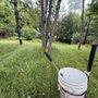Photo of Watson Lawn & Land Clearing Service 
