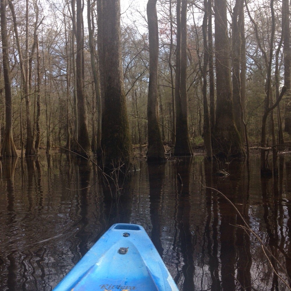 Adventure Carolina - Adventure Carolina kayak in congaree national park - Rafting/Kayaking Near Me - Cayce, South Carolina Adventure Carolina - Adventure Carolina kayak in congaree national park - Rafting/Kayaking Near Me - Cayce, South Carolina