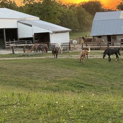 Millbrook Trail Rides