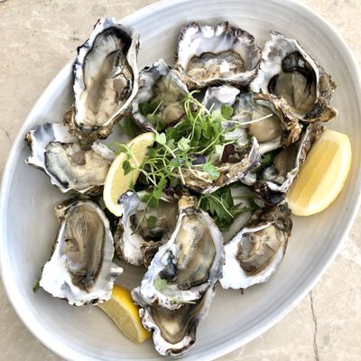 Charlotte's Kitchen by null