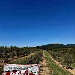 R & A Orchards