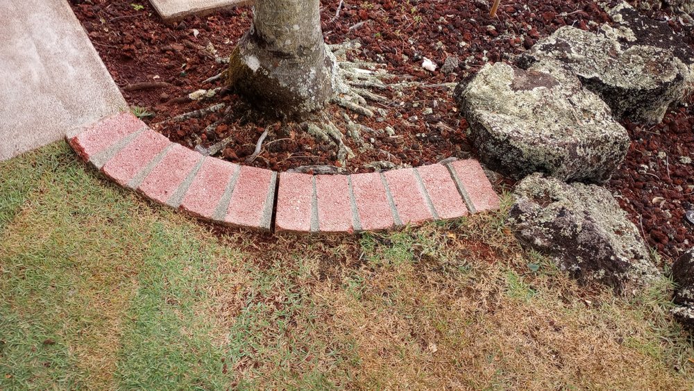 Slide of Papaya Powerwashing