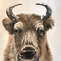 Elliott Yeary Gallery - Bison painting