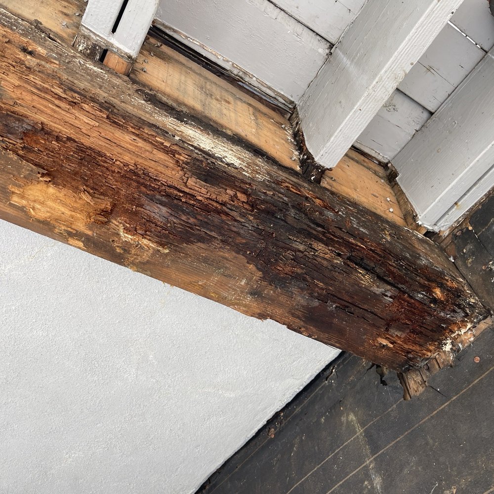 Rotted wood Rotted wood