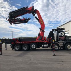 Montgomery Tree & Stump Removal
