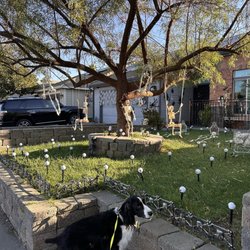 City of Dixon - Dig it.