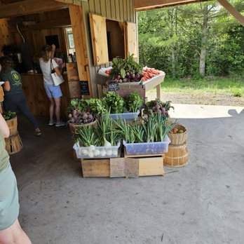 Farmer's Daughter - So much fantastic local produce - Farmers Market Near Me - Arundel, Maine Farmer's Daughter - So much fantastic local produce - Farmers Market Near Me - Arundel, Maine