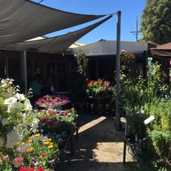 Kew Nursery