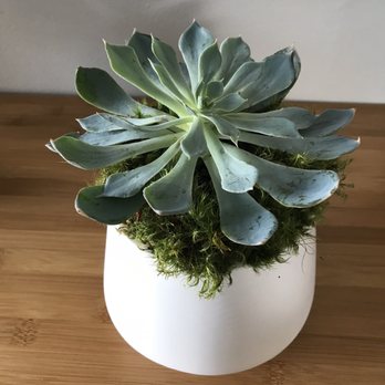 Christine Noelle Design - Florists Near Me - Chicago, Illinois