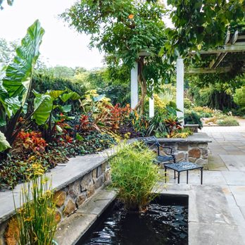 Frelinghuysen Arboretum - Tiny fish pond - Botanical Gardens Near Me - Morristown, New Jersey