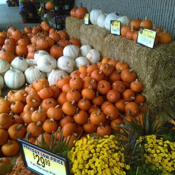 Cash Wise Foods - Fall at Cash Wise. - Grocery Near Me - Waite Park, Minnesota