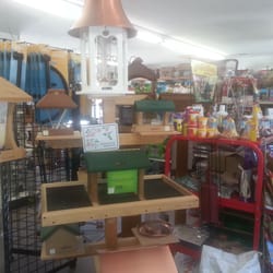 Seedy Sally's - Inside the store