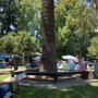 Photo of Healdsburg-music In The Plaza
