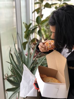 Donut Cutter by null