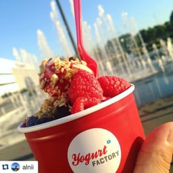 Yogurt Factory - Yogurt factory