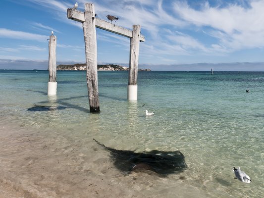 Hamelin Bay Holiday Park by null