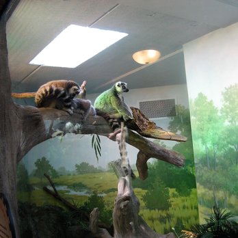 Akron Zoo - Zoos Near Me - Akron, Ohio