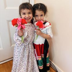 Little Blooms Preschool