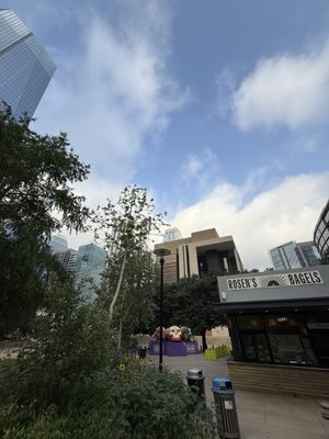 Rosen's Bagel Co. by null