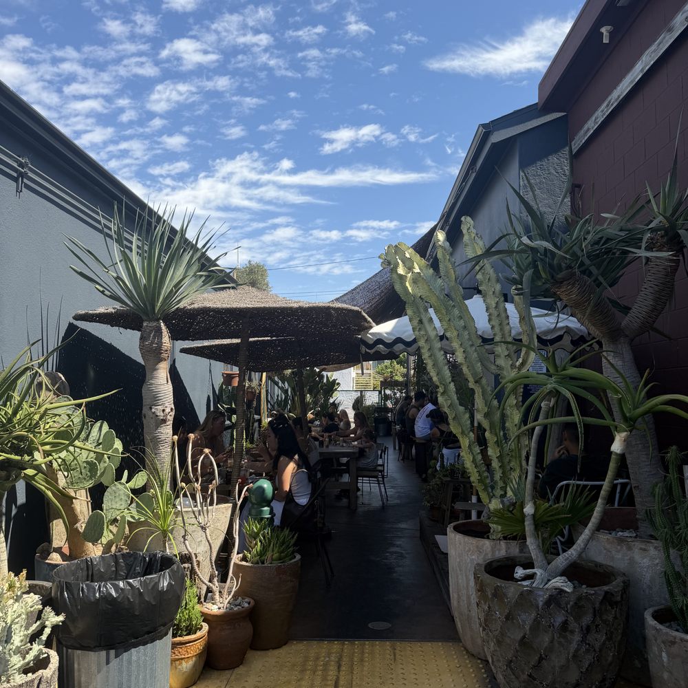 Salty Horse - outdoor seating - Cafes Near Me - Costa Mesa, California Salty Horse - outdoor seating - Cafes Near Me - Costa Mesa, California