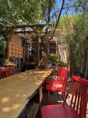 Cicada by null Cicada by null