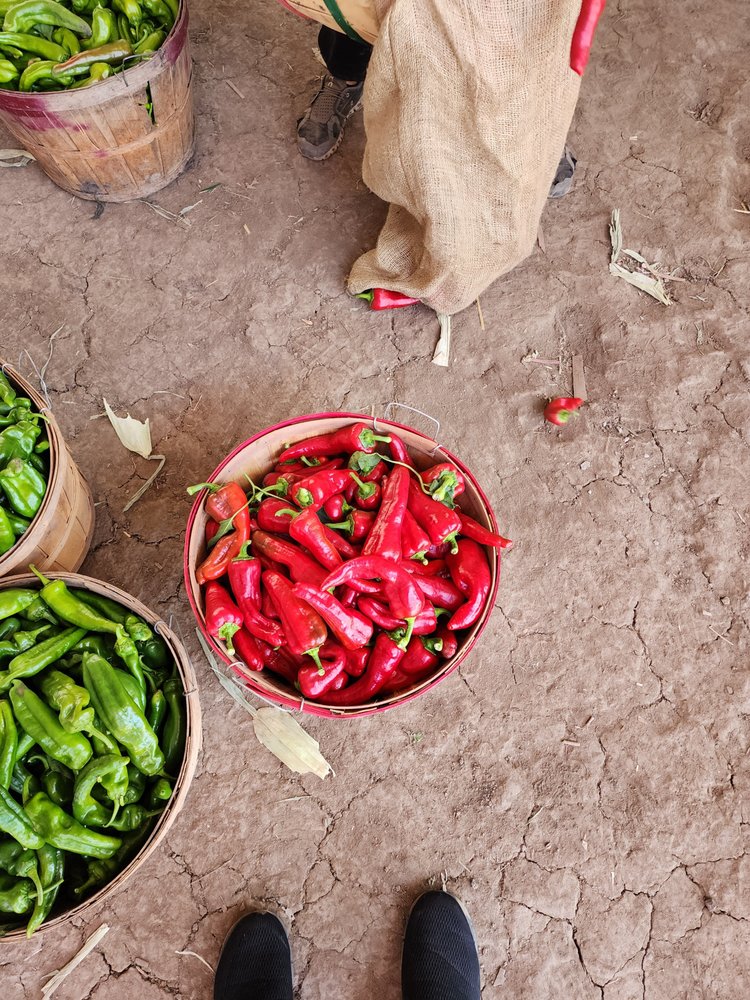 Joes Chile Peppers Logo