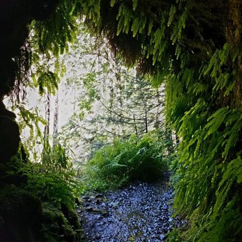 Eagle Creek Trail - Hiking Near Me - Bonneville, Oregon