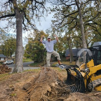 5 Starr Tree Service - Tree Services Near Me 5 Starr Tree Service - Tree Services Near Me