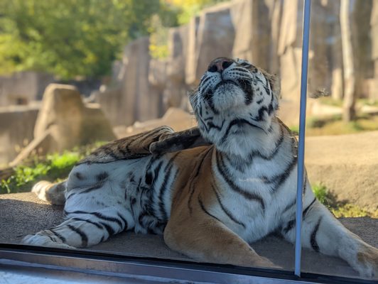 Milwaukee County Zoo by null