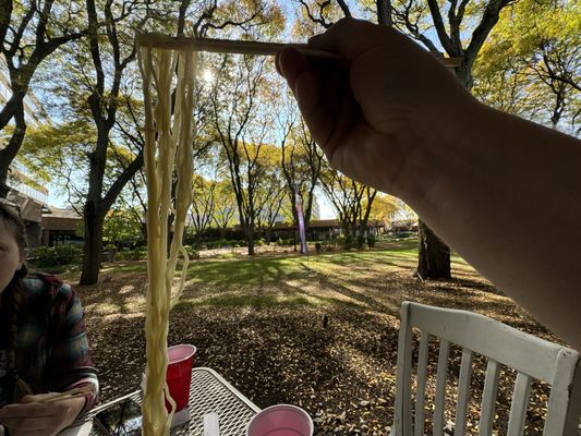 Sakai Ramen Secaucus by null