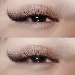 Holy Lash