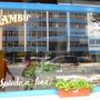 Photo of Bambú