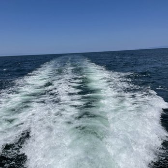Discovery Whale Watch - Whale Watching Tours Near Me - Monterey, California