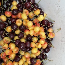 Bigfork Orchards