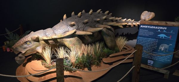 Bishop Museum by null Bishop Museum by null