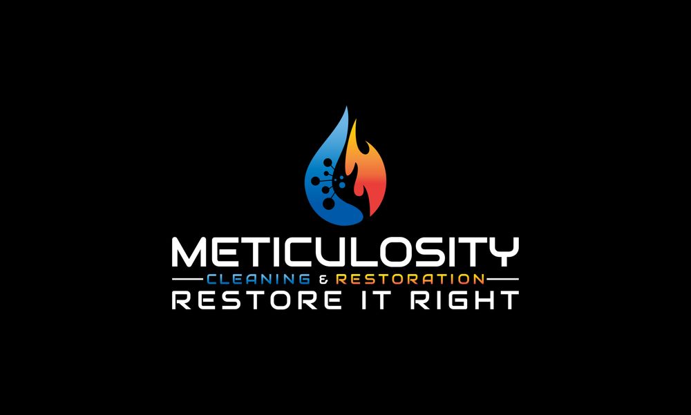 Meticulosity Cleaning & Restoration - mold inspector in San Fernando Valley, CA