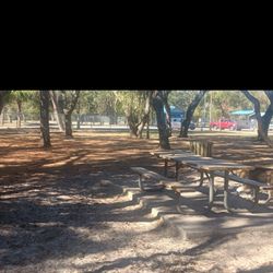 Rotary Centebnial Dog Park - Just dog park from a fence line