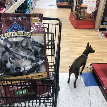 Petco - Lots of selection of Blue Wilderness dog food - Pet Stores Near Me - Union City, California