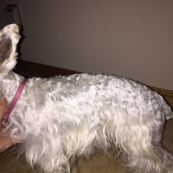 Petco - Pet Stores Near Me - Santa Maria, California